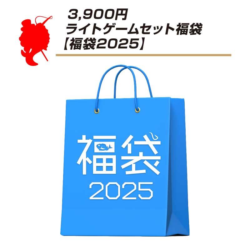 3900円ライトゲームセット福袋【福袋 2025】バラエティ福袋【他商品 