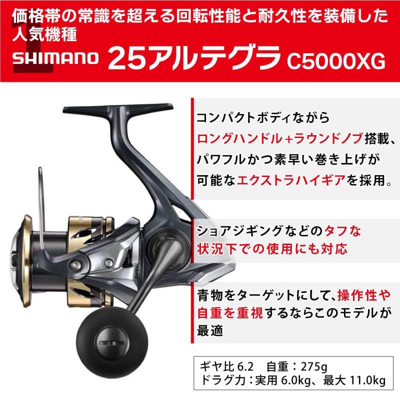 釣竿セット 釣得セット ライトショアジギング シマノ アルテグラ