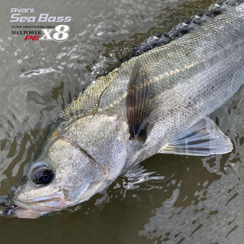 バリバス アバニ シーバス PE マックスパワー X8 150m 1.5号 ステルス