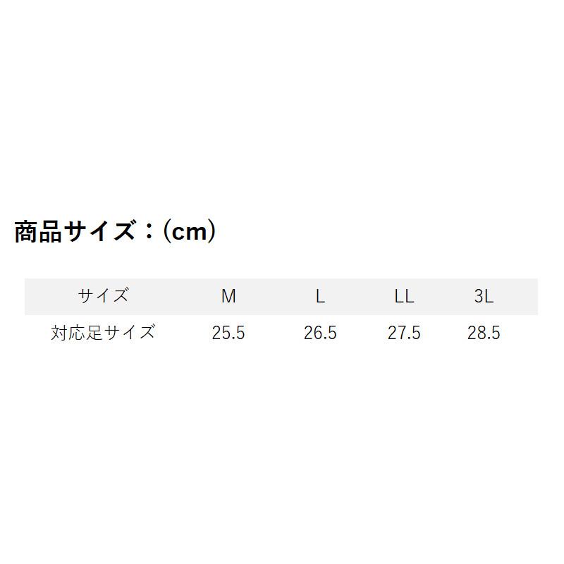 双進 フットウェア RBB ロックショアフェルトスパイクシューズTG 3L ブラック 7692_7