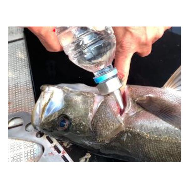 津本式ノヅルスタンド 津本式 家庭用魚仕立てノズル : 釣具のポイント - 通販 - Yahoo