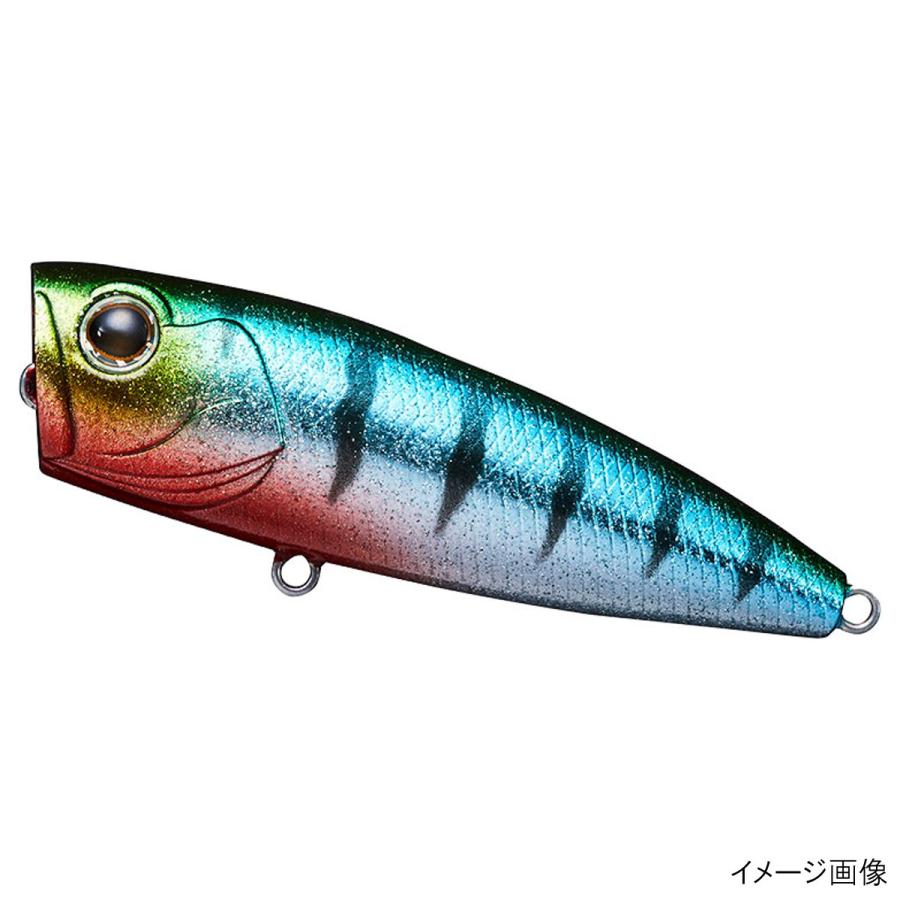 ダイワ スティーズ ポッパー 70f Sgギル ゆうパケット 釣具のポイント 通販 Paypayモール