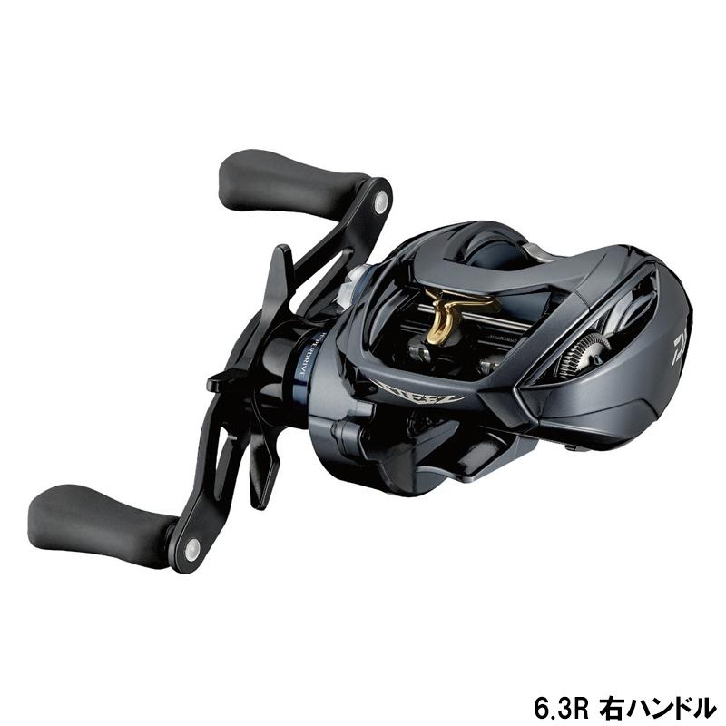DAIWA STEEZ A TW HLC 6.3:1 ベイトリール