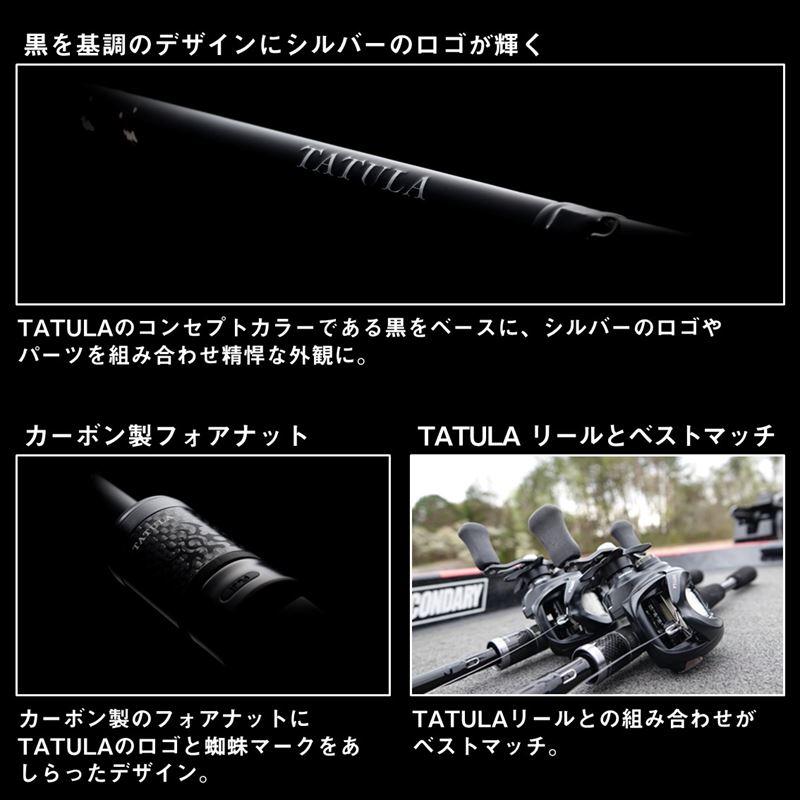 DAIWA（ダイワ） バスロッド タトゥーラ XT(2ピースモデル) 672MHFB 24