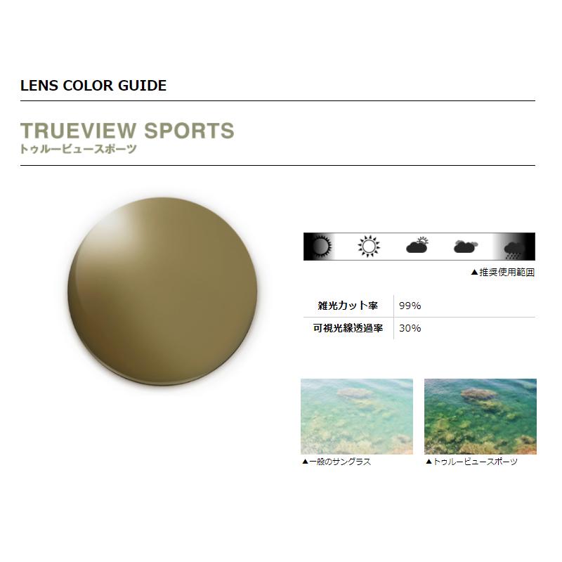 DAIWA（ダイワ） 偏光グラス TLX 027 トゥルービュースポーツ シルバー