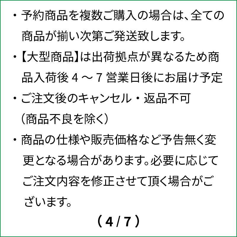 ダイワ 磯竿 銀狼 0-53・K 24年モデル