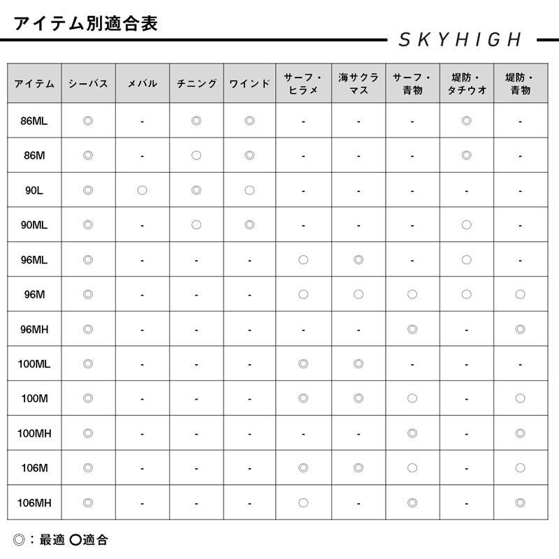 DAIWA（ダイワ） シーバスロッド 25 スカイハイ 96ML【大型商品】【同