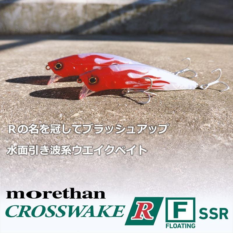 DAIWA（ダイワ） ルアー モアザン クロスウェイクR 111F-SSR