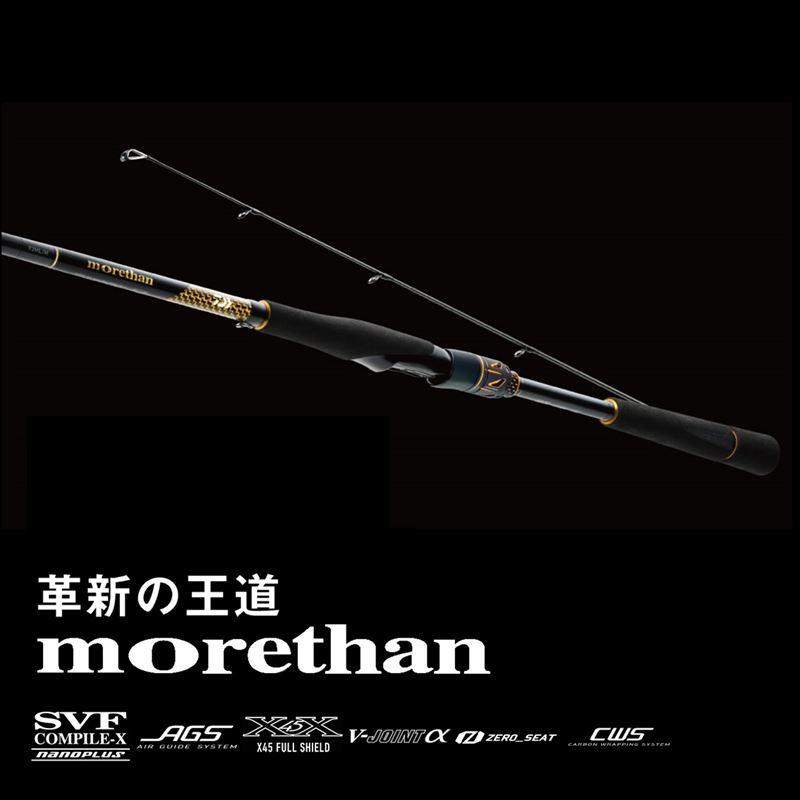 DAIWA（ダイワ） シーバスロッド 25 モアザン 106M/MH・J【大型商品