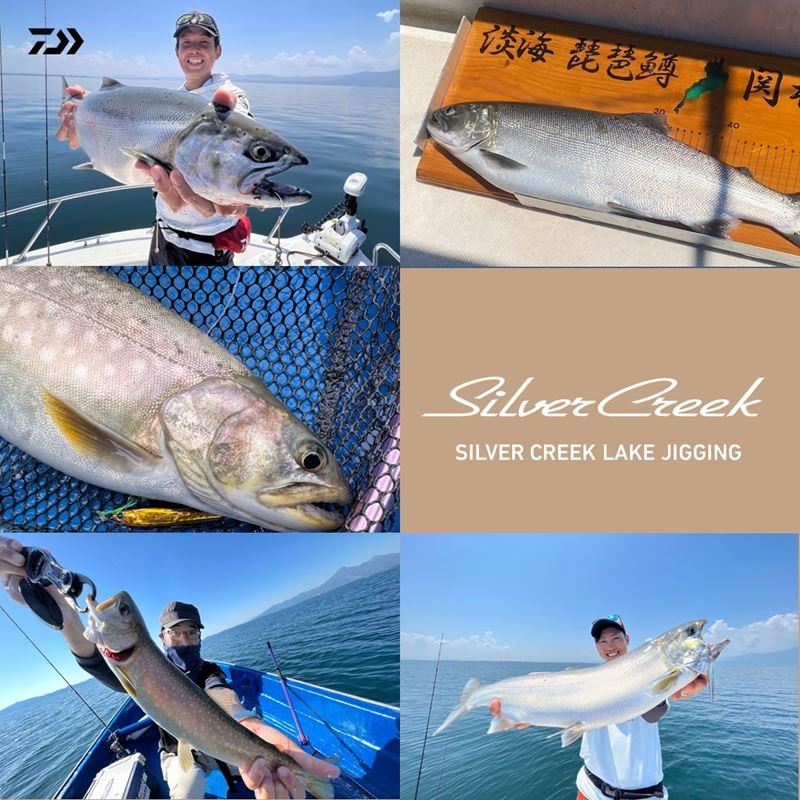 DAIWA（ダイワ） トラウトロッド 24 シルバークリーク レイクジギング