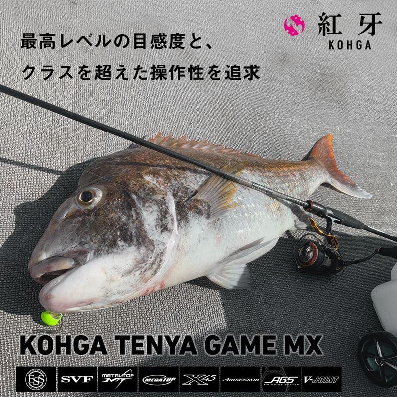 DAIWA（ダイワ） 船竿 25 紅牙テンヤゲーム MX H-235・J : 釣具の