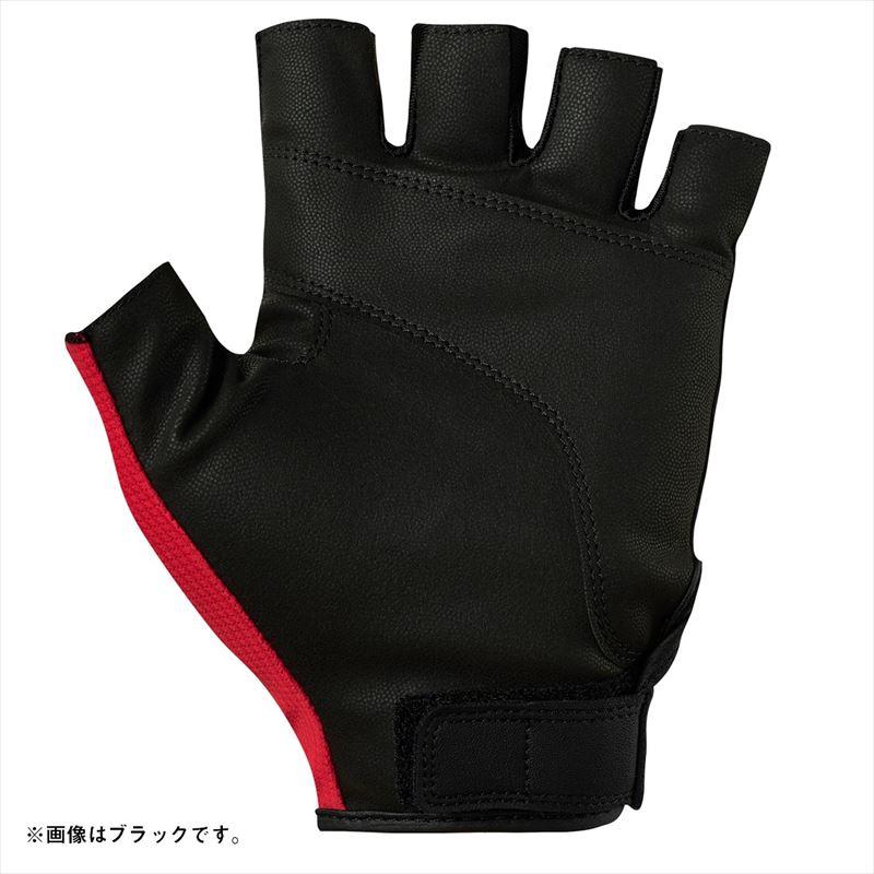 DAIWA（ダイワ） グローブ DG-6525 吸水速乾グローブ 5本カット M