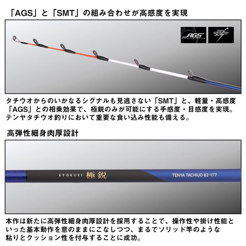 DAIWA（ダイワ） 船竿 25 極鋭 テンヤタチウオ 91-172 : 釣具の