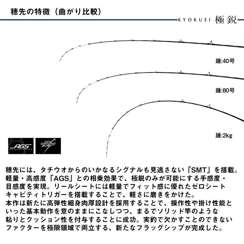 DAIWA（ダイワ） 船竿 25 極鋭 テンヤタチウオ 91-172 : 釣具の