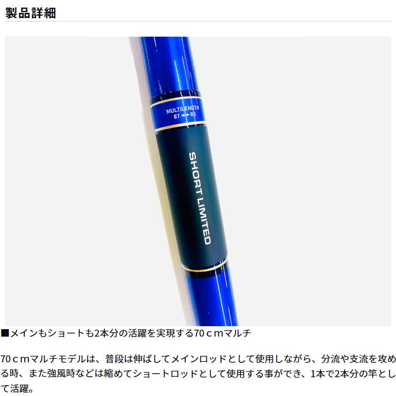 DAIWA（ダイワ） 鮎竿 24 銀影エア SHORT LIMITED MT H80 (2026年追加