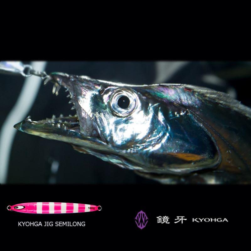 DAIWA（ダイワ） ジグ 鏡牙ジグ セミロング 200g フラッシュピンク