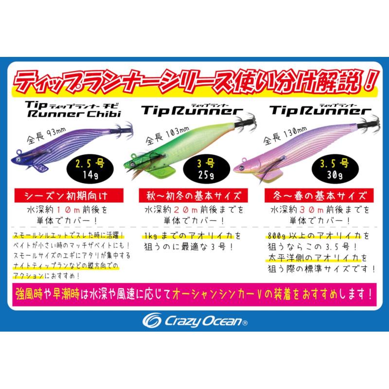 クレイジーオーシャン ティップランナー 3号2.5号13個セット