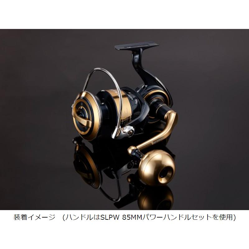 正規店得価 ダイワ ゴールド 釣具のポイント 通販 Paypayモール Slpw ソルティガ スプール 在庫あ安い Popshap Com
