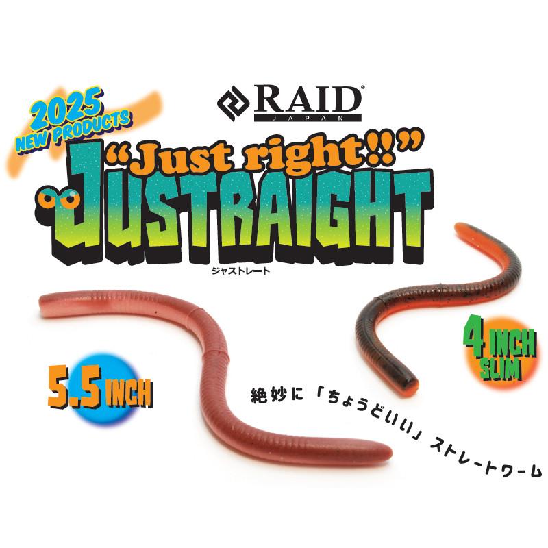 レイドジャパン ワーム ジャストレート 4インチ スリム 083.スモーク
