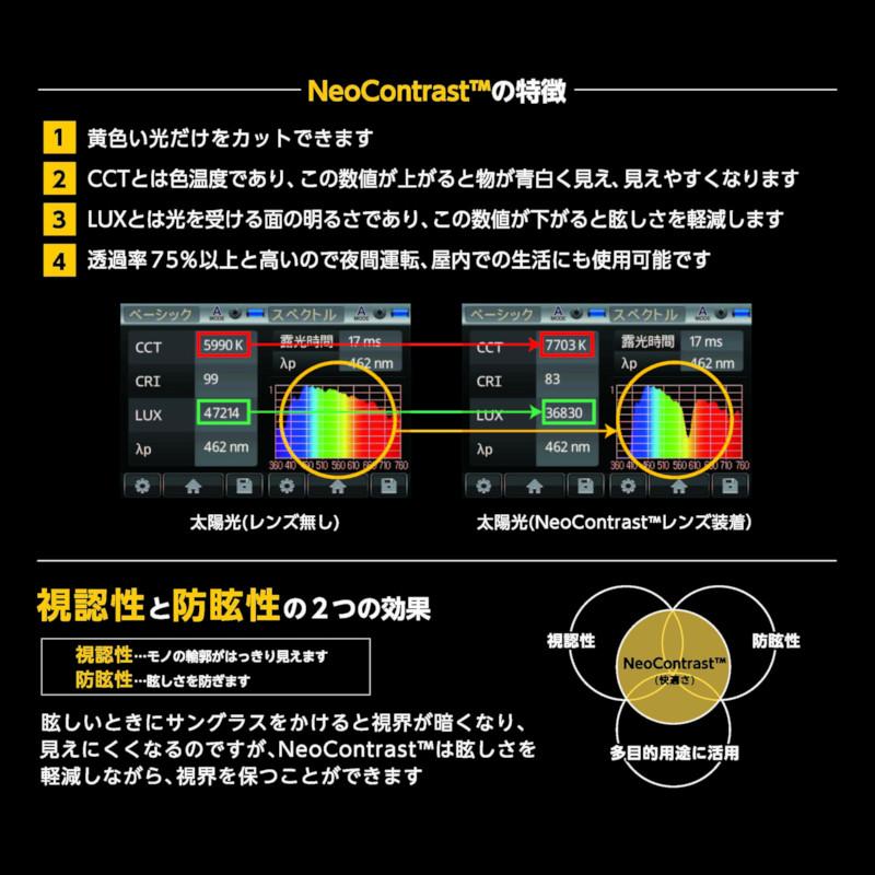 556glass 偏光グラス Georgia.G ジョージア.G ガンメタル/NP Brown IJ03433※他商品と同時注文・代引不可