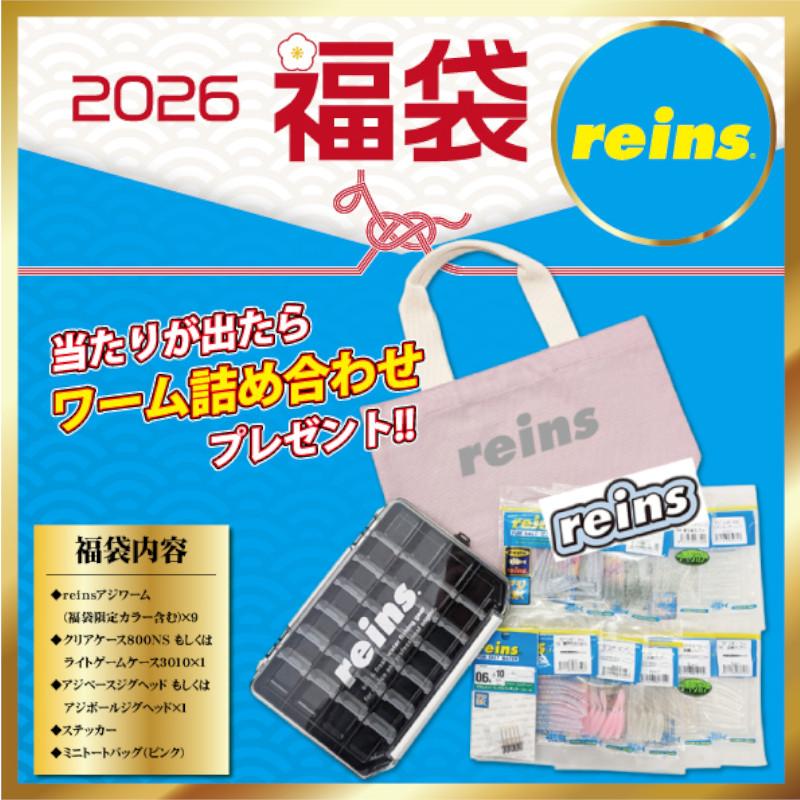 レイン アジング福袋 人気ワーム9種＆グッズ【2026 福袋】人気