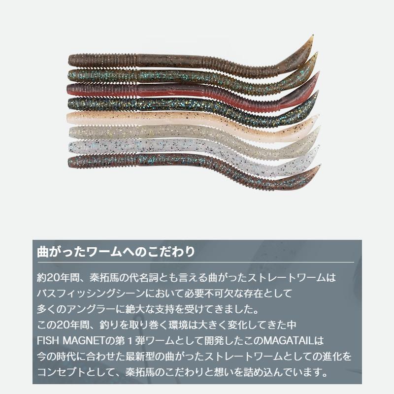 ザップ ワーム フィッシュマグネット マガテール 4.5インチ #02