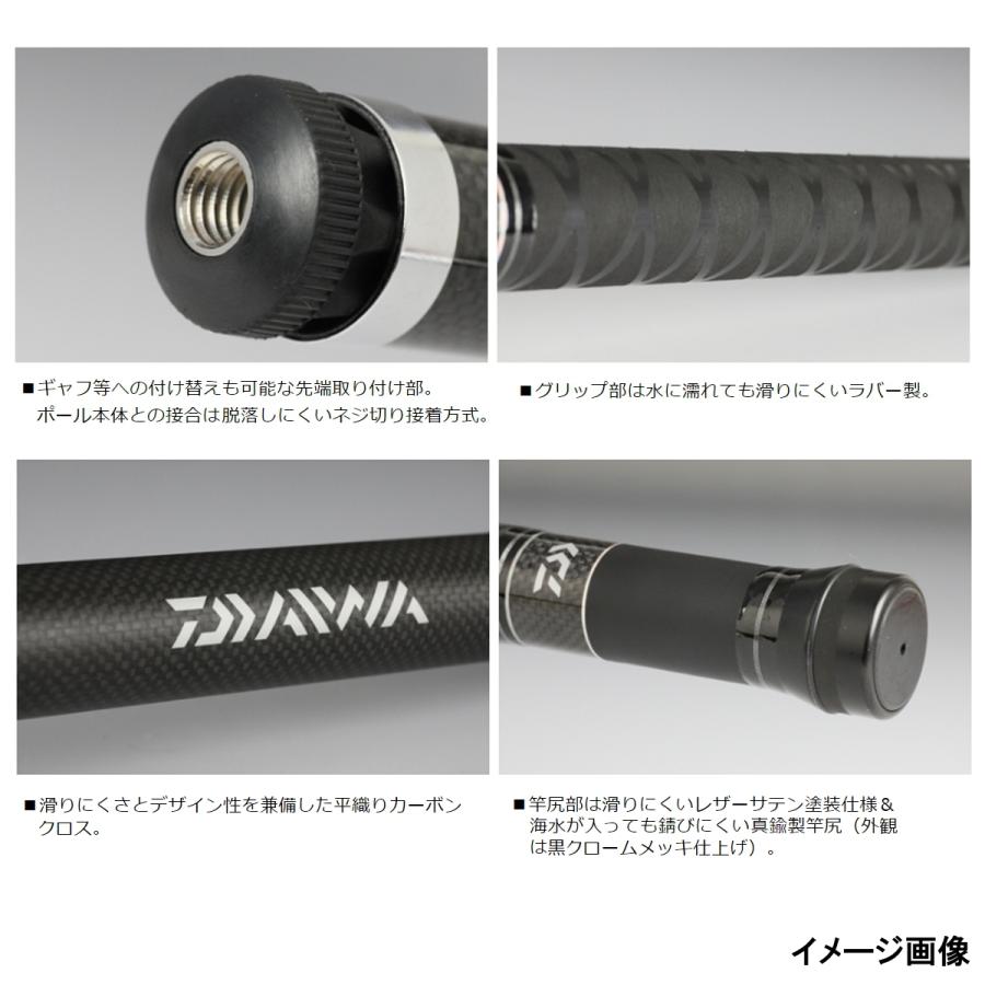 DAIWA（ダイワ） ランディングポールII 磯玉網 枠45cm-柄6m : 釣具の