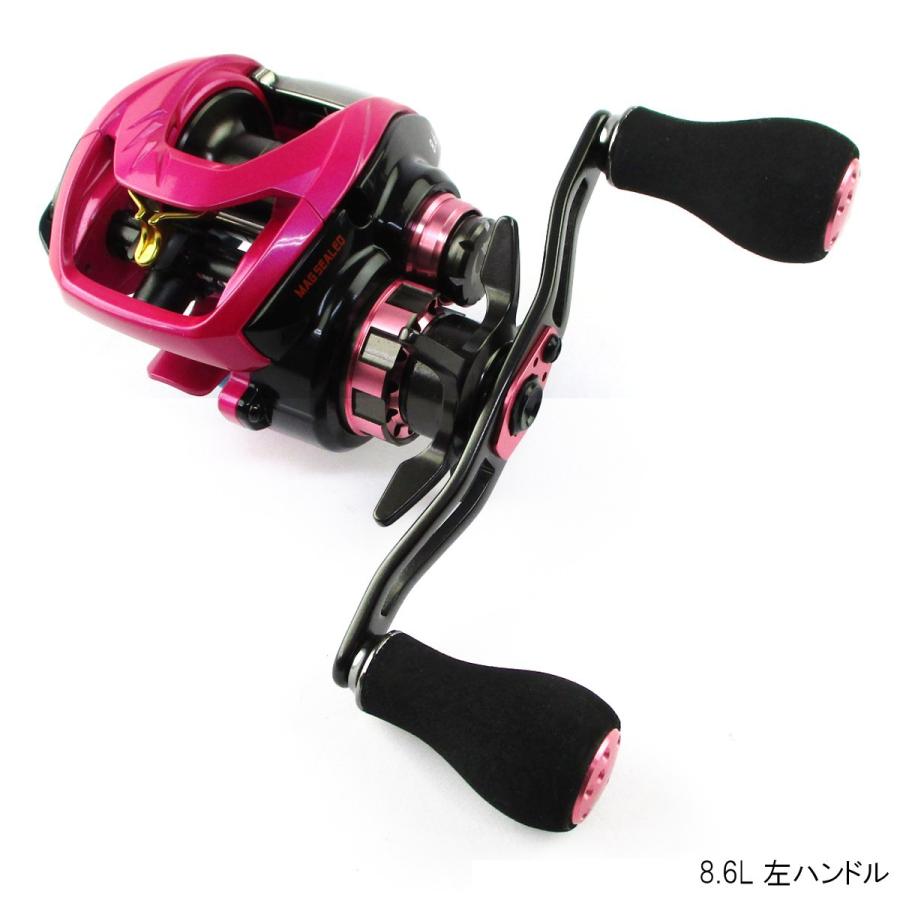 ダイワ 紅牙 Tw ハイパーカスタム 8 6l 左ハンドル 釣具のポイント 通販 Paypayモール