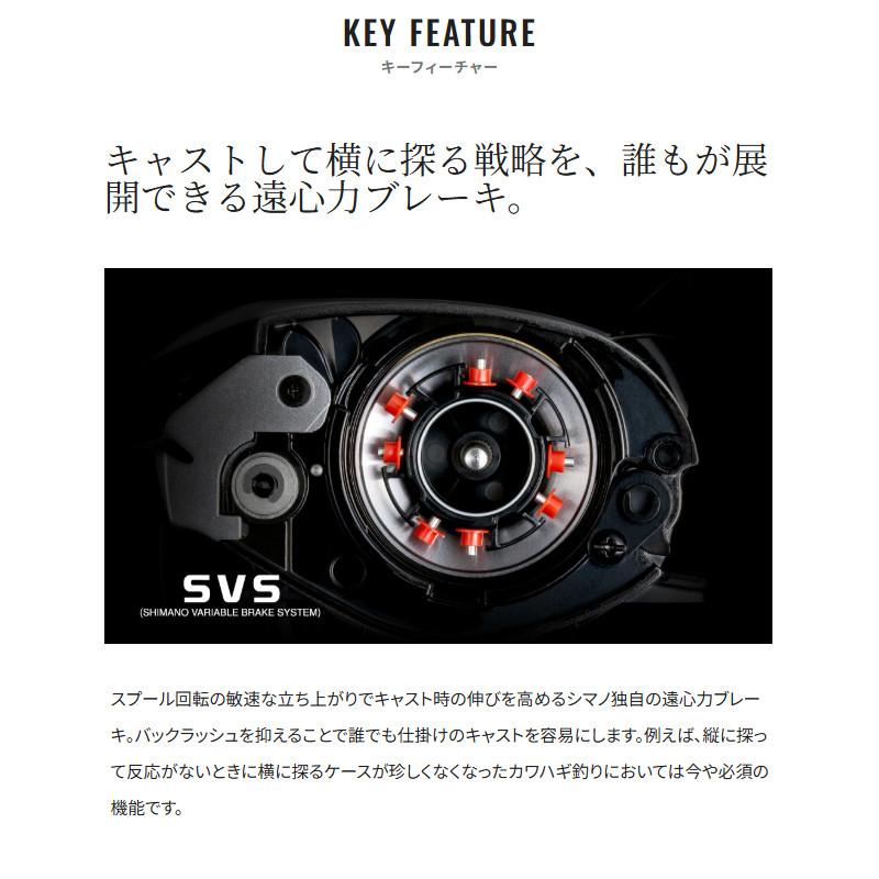 シマノ（SHIMANO） 船リール 25 スティーレ 100XG 右ハンドル : 釣具の