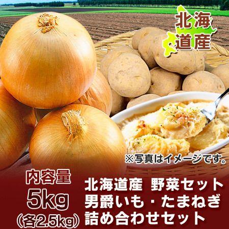 New Arrival 北海道産 野菜セット 送料無料 北海道のたまねぎ 男爵いもをセット 北海道 Lサイズ 各2 5kg 合計5kg 5 キロ 化粧箱入 Wantannas Go Id