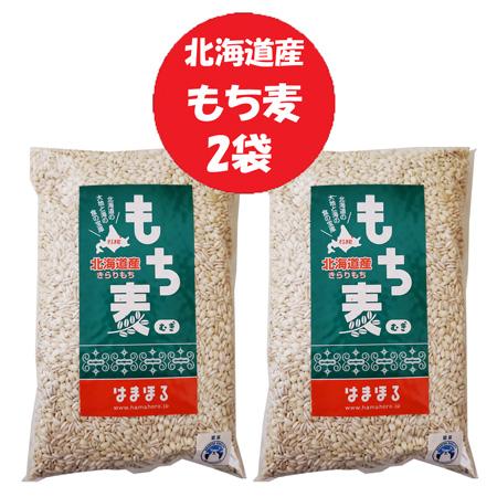 もちむぎページ もち麦 送料無料 もちむぎ 1袋×2袋 北海道 きらりもち 大麦 穀物 雑穀