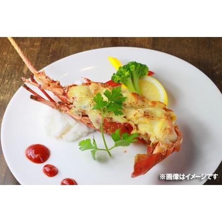 春夏新作モデル ロブスター 送料無料 ボイル 5尾 1尾300 G前後 5 価格 円 海老 えび エビ Wantannas Go Id