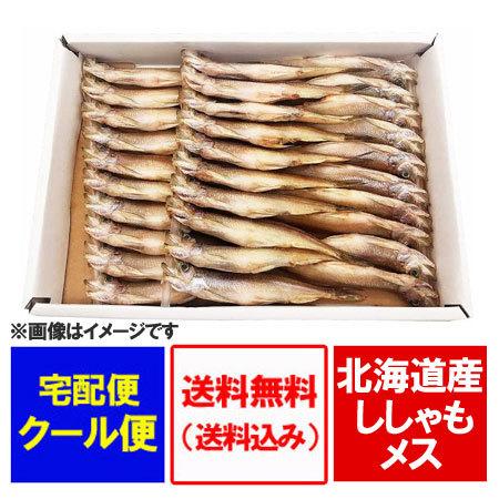 北海道 ししゃも 送料無料 ししゃも メス 本ししゃも 子持ち シシャモ メス 30尾 化粧箱入 北海道産 ししゃも｜pointhonpo