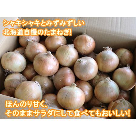玉ねぎ 10kg 送料無料 たまねぎ L大サイズ 共撰 タマネギ 北海道 玉ねぎ 10kg 送料無料 たまねぎ L大サイズ 共撰 タマネギ 北海道
