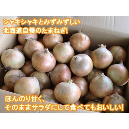 随時発送中 玉ねぎ 20kg 送料無料 たまねぎ 20kg L大サイズ 共選 北海道 富良野産 もしくは 北見F1 北海道 野菜 タマネギ 玉葱の画像