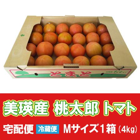随時発送中 北海道 トマト 送料無料 美瑛(びえい)産 とまと 品種 桃太郎 トマト 4kg (4キロ) 箱 Mサイズ 北海道産 とまと 野菜 トマト 生食 夏 トマト フルーツ