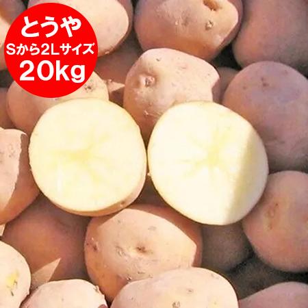 最短発送中 訳あり じゃがいも 20kg とうや 送料無料 ジャガイモ Sから