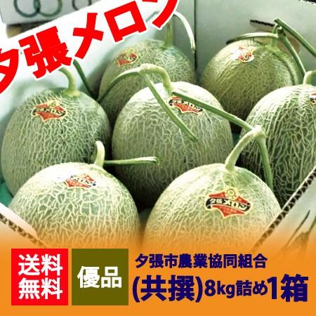 夕張メロン 送料無料 8kg 優 夕張農協共撰 夕張 メロン 優品 7玉入 1