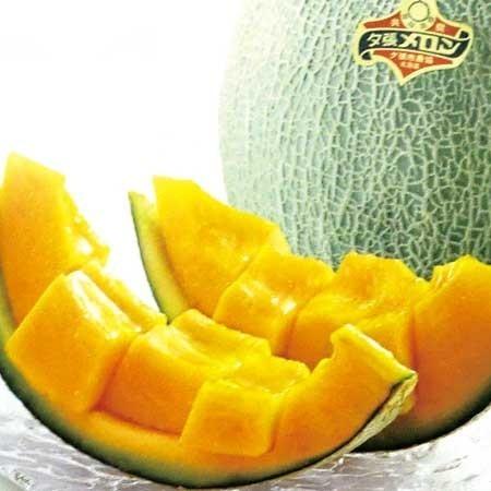 夕張メロン 送料無料 2玉 (1.3kg×2) 夕張 メロン 良品 化粧箱入