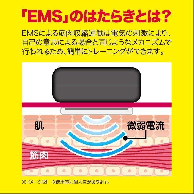 マッスルペンタゴン ダブルエクサ ダイエット フィットネス 爆買