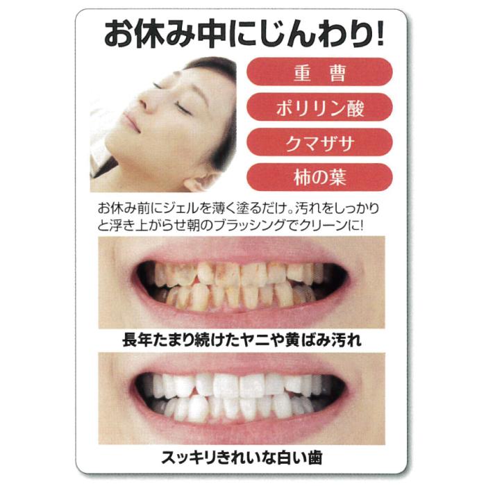 初回限定】 マイノロジ 薬用ティースナイトEX 医薬部外品 日本製 wantannas.go.id 初回限定】 マイノロジ 薬用ティースナイトEX 医薬部外品 日本製 wantannas.go.id