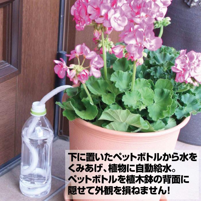 水やり楽だぞう 8本組 ペットボトル キャップ 自動給水 自動水やり 送料無料 ポイント消化 ポイント消化のお店 通販 Yahoo ショッピング