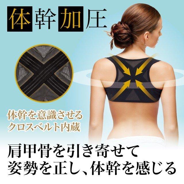 最安値挑戦 体幹加圧エクサベルト 体幹 加圧 ストレッチ 姿勢 背筋 背すじ 矯正 猫背 肩甲骨 インナー レディース Columbiatools Com