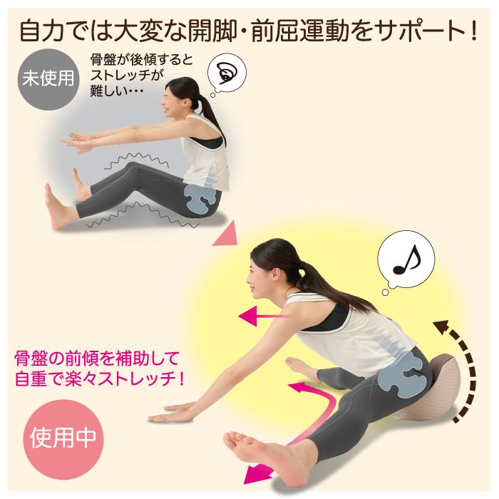 ニーズ 体幹開脚ストレッチクッション (ブラウン / ネイビー) 股関節