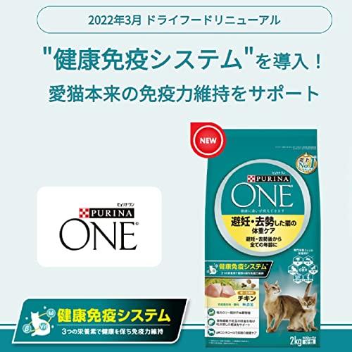 ピュリナ ワン キャットフード 健康マルチケア 11歳以上 チキン 2kg(500g×4袋)｜pointpop｜10