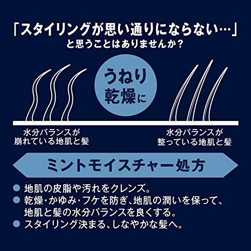 h&s シャンプー PRO Series コントロール ポンプ 350g｜pointpop｜04