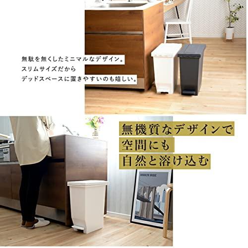 アスベル ゴミ箱 エバンMP密閉ペダルペール30L フタ付 ブラック｜pointpop｜02