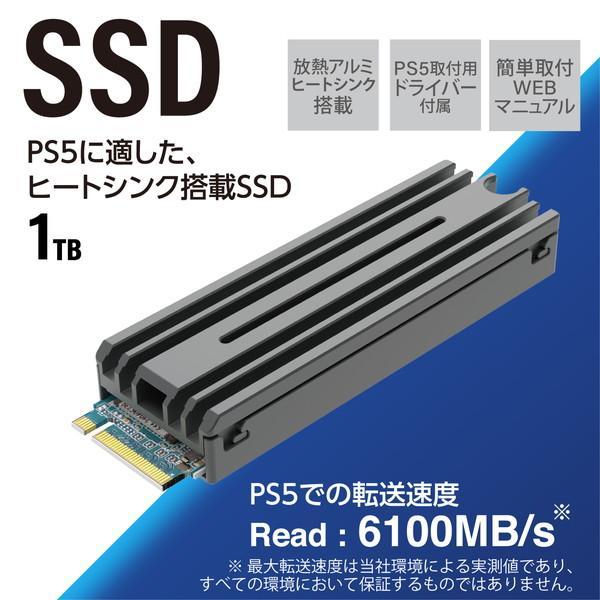 ELECOM（エレコム） ESD-IPS1000G PS5対応 M.2 PCIe接続 内蔵SSD 1TB