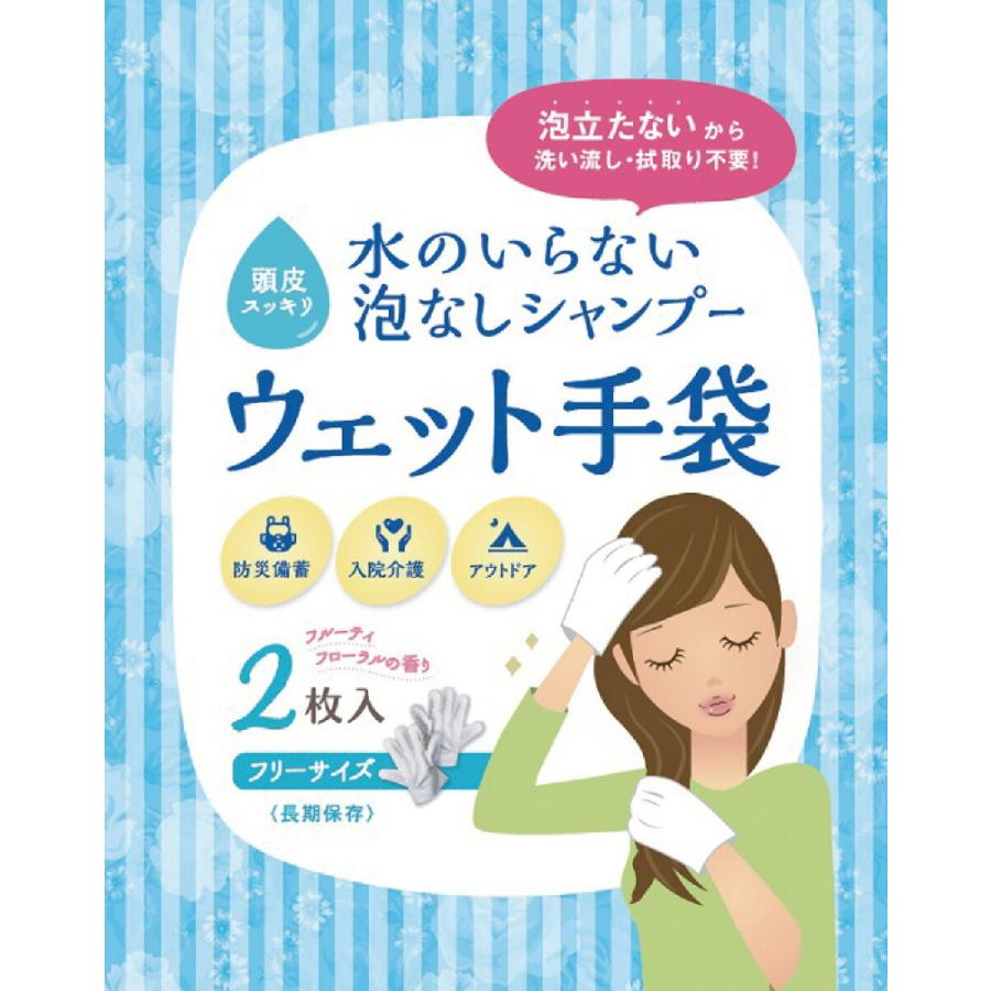 アーテック ArTec 水のいらない泡なしシャンプーウェット手袋 52215｜pointshoukadou