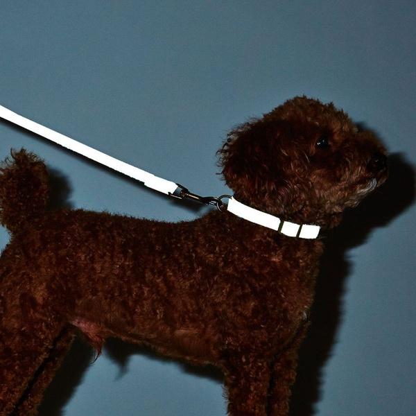 ペティオ 犬用首輪 フラッシュソフトカラー SS ブラック |  | 02